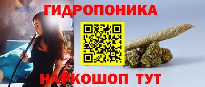 дживик Камышлов