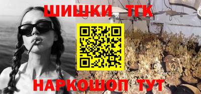 дживик Камышлов