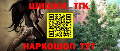 дживик Камышлов