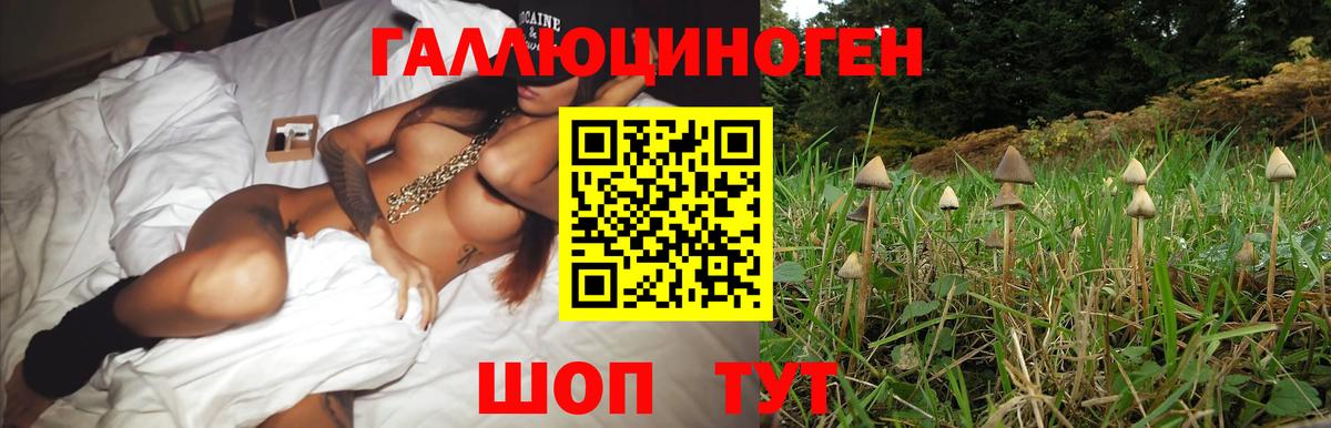 Галлюциногенные грибы мухоморы Углич